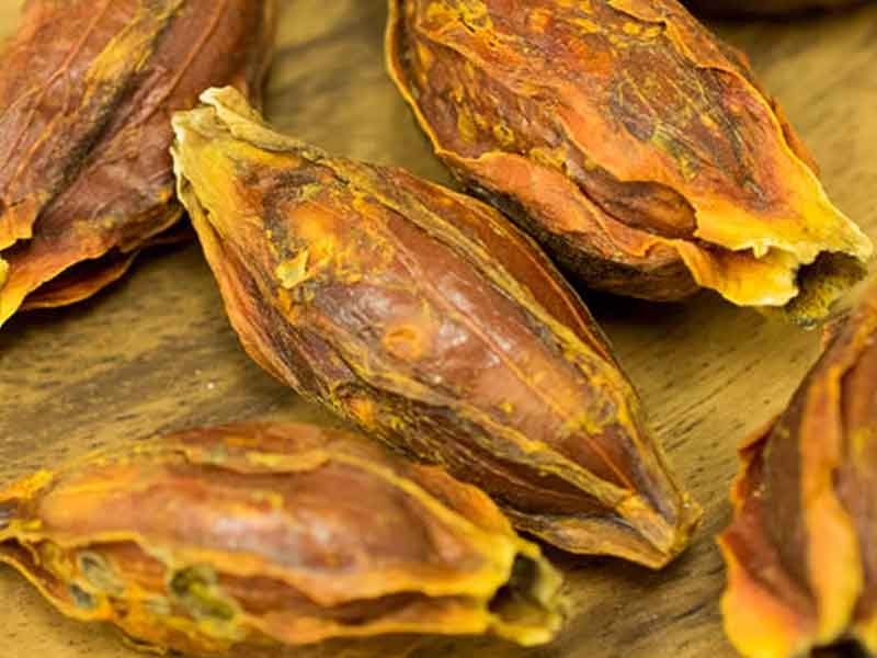 くちなし｜八角箸