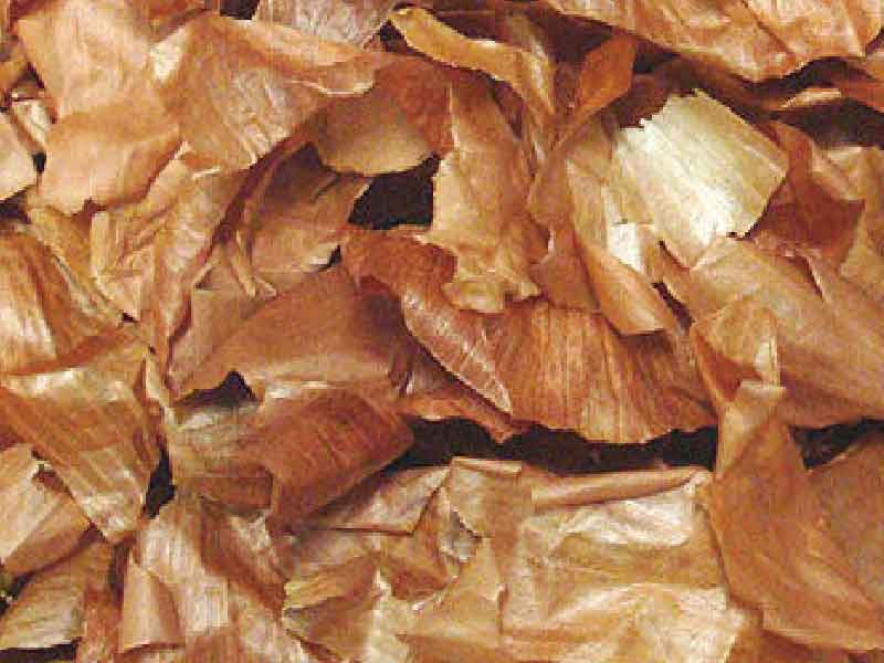 玉ねぎ｜八角箸